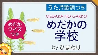 めだかの学校　byひまわり🌻うたとクイズ（♬メダカの学校は〜）歌詞付き｜童謡【日本の歌百選】Medaka School｜