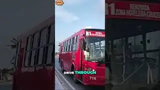 Ultimate Guide to Transportation in Cancun 🚌🚕