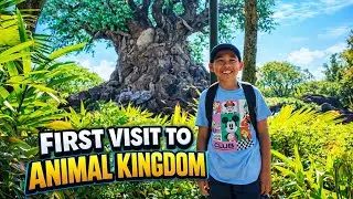 Experiencing Disney&rsquo;s Animal Kingdom for the First Time