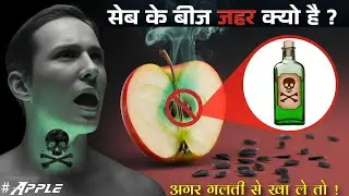सेब के बीज जहरीले क्यों होते हैं ? अगर इन्हें गलती से खा ले तो क्या होगा! Why apple seeds poisonous?