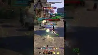 stamdk SUBCLASS 🦜 #mmorpg #shorts #duel