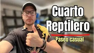 Paseo Casual por mi Cuarto Reptilero 🦎🔥