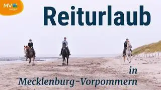 Reiterferien und Reiturlaub - vom Reiten auf dem Lande bis zum Strandreiten an der Ostsee