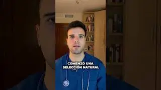 🤯 El lobo no fue domesticado por el humano&hellip; se domestic&oacute; solo.