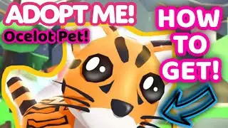 How to Get Ocelot Pet in Adopt Me!