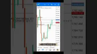 How I Made Over $1k in One trade Using A Sniper Bot  #shorts