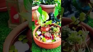 Fish Pond setup at home #minivlog #mini #miniature #fish #garden #gardening #ponds #diy #craft #home