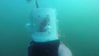 Dive Helmet