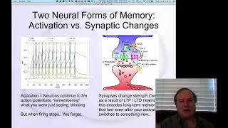 GenPsych Course 2020, Memory 2: Activations and Weights