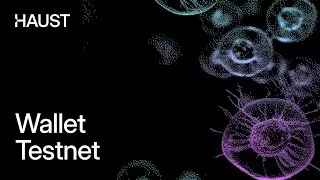 Haust Network: Testnet Wallet Guardian Role Guide
