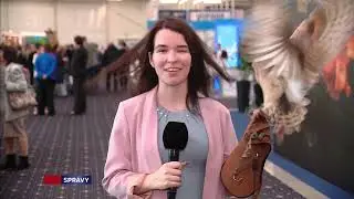 Nepodaren&eacute; z&aacute;bery STVR 2025 (Silvester)