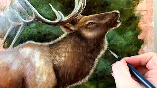 How To Paint A Realistic ELK