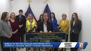 Maine's BMV offices now displaying domestic violence resource information