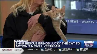 Action 2 News This Morning: LIVESTREAM - Friday, January 30, 2026