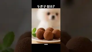 두쫀쿠 만들어주는 포메라이안 #chocolate #recipe #shorts