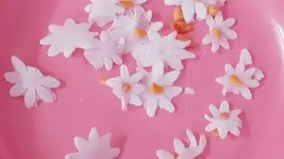 ####Night Jasmine Sugar Flowers 