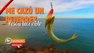 Increíble jornada de pesca, primera vez que me cazó un pejerrey 