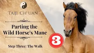 Taiji Chuan: Parting the Wild Horse's Mane lesson #3. Learning to Walk!