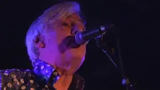Robyn Hitchcock - 