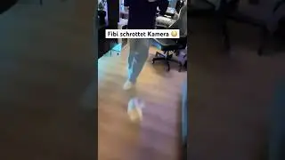 Wie hat Fibi den Ball gesehen | Twitch: Fibii #fibi #twitch #twitchclips #highlights #foryou #fyp