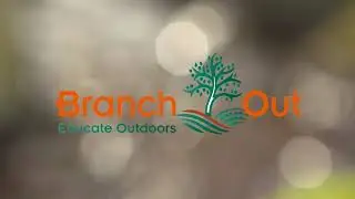 Branch Out River Field Study