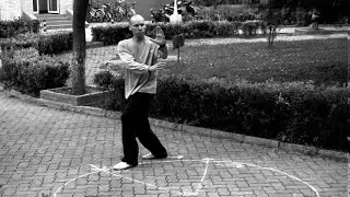 Magui Bagua Mother Palm footwork