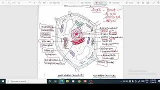 जीव विज्ञान भाग 3 || cell organelles || कोशिकांग