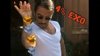 [DOFUS TOUCH] 2 EXO 4% IN 2 TRIES