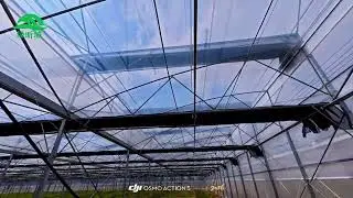 Serrated multi-span greenhouse