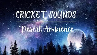 🧘Calming Nature at Night with Crickets, Swamp Sounds for Sleep | Relaxation nature Sounds
