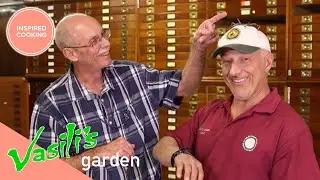 Vasili Gets Closer And Personal With Big Insects! | Full Episode | Vasili's Garden