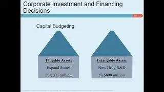 Coporate Finance Chapter 1 Part 1
