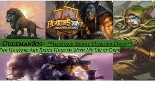 Dudeman805 Hunter Deck (****No Legendaryies****)