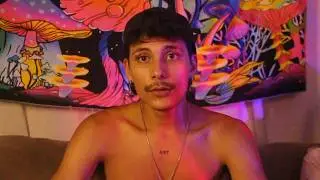 fim do analisando