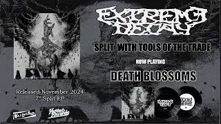 EXTREME DECAY - Split EP  (OFFICIAL FULL EP)