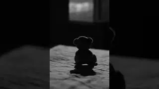 Damn plushie (dallana para el mundo)