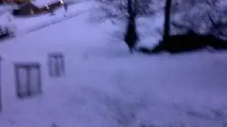 Pro Tray Boarding
