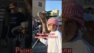 Рынок торговли животными в Омане#travel #exploreoman #market #discoveroman #arabic #animalsmarket