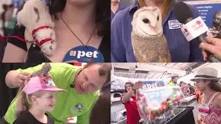 Get ready for the 2018 Perth Pet Expo!
