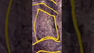I found Treasure