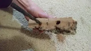 Making Crested Gecko Ledge