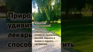 #remix #music #shortvideo #природа #настроение #островмечты #любовь #peace #travel #москва #красота