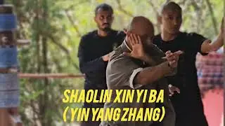 Shaolin Xinyiba - Yin Yang Palm