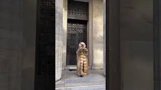 Huge fur #fur #fashion #furcoat