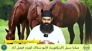Expert Tips for Equine Health 🌧🐎 | Dr. Ubaid ur Rehman | Rainy Season Care