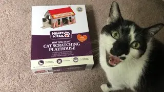 Leroy the Cat Builds a Cat Scratching Playhouse from Aldi