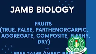 JAMB/WAEC Biology 2026 EP 105 - Fruits (True, False, Parthenocarpic, Aggregate, Composite, Fleshy..)