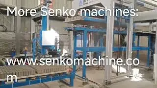 Automatic block cuber