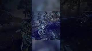 Warframe Insane AI DPS