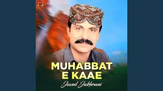 Mulkaa Baaz Aa Sohna Wafdar Bi Kasse Kasse